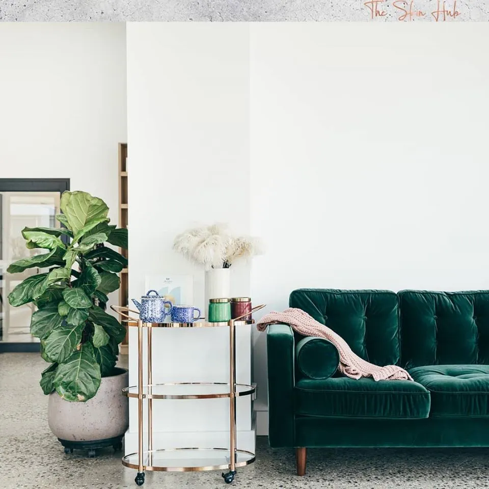 Stylish living room with green velvet sofa and plant.